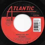 Nu Shooz – Should I Say Yes? 45lik Plak - Görsel 2