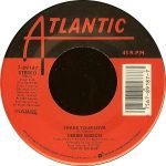 Debbie Gibson – Shake Your Love 45lik Plak