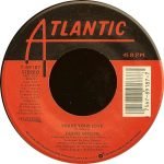 Debbie Gibson – Shake Your Love 45lik Plak - Görsel 2