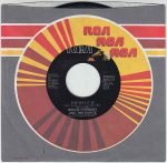 Bruce Hornsby And The Range – The Way It Is 45lik Plak