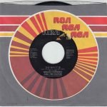 Bruce Hornsby And The Range – The Way It Is 45lik Plak
