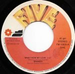 Brando – What Now My Love 45lik Plak (Italo Disco) - Görsel 2