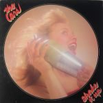 The Cars – Shake It Up LP Plak