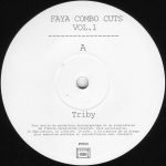 DJ Gregory – Faya Combo Cuts Vol. 1 12" Maxi Single Plak (House) - Görsel 3