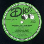 Leah Landis – She Doesn't Like It From Behind 12" Maxi Single Plak (Hi NRG) - Görsel 2