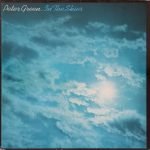 Peter Green – In The Skies LP Plak