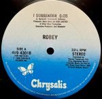 Robey – I Surrender 12" Maxi Single Plak - Görsel 2