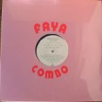 Next Evidence – The One 12" Maxi Single Plak (House)