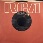 Bruce Hornsby And The Range – Every Little Kiss 45lik Plak