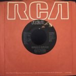 Bruce Hornsby And The Range – Every Little Kiss 45lik Plak - Görsel 2