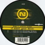 Roger S. Presents Twilight – I Want Your Love 12'' Maxi Single Plak (Early House) - Görsel 4