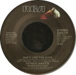 Patrick Swayze – She's Like The Wind 45lik Plak - Görsel 3