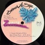 Deborah Le Sage – Caught Between A Rock...And A Hard Place 12" Maxi Single Plak (80s Disco) - Görsel 3