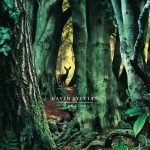 David Sylvian – Manafon 2LP Plak