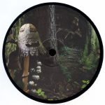 David Sylvian – Manafon 2LP Plak - Görsel 2