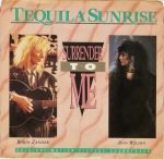 Ann Wilson And Robin Zander – Surrender To Me 45lik Plak