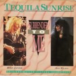 Ann Wilson And Robin Zander – Surrender To Me 45lik Plak