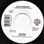 David Sanborn – Chicago Song 45lik Plak - Görsel 2
