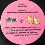 Cozy Creatures – Wanna Sing 12" Maxi Single Plak (House) - Görsel 4