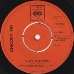 Chicory Tip – What's Your Name 45lik Plak - Görsel 2