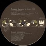 Jesse Johnson Featuring Sly Stone – Crazay 12" Maxi Single Plak - Görsel 3