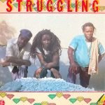 The Mighty Diamonds – Struggling LP Plak