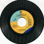 Narada – Divine Emotions 45lik Plak - Görsel 2