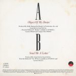 Starpoint – Object Of My Desire 45lik Plak - Görsel 2