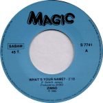 Zinno – What's Your Name? 45lik Plak - Görsel 2