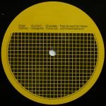 Roger Sanchez – You Can't Change Me 12" Maxi Single Plak (House) - Görsel 4