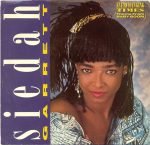 Siedah Garrett – Everchanging Times 45lik Plak