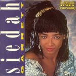 Siedah Garrett – Everchanging Times 45lik Plak