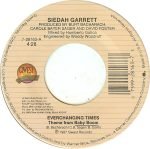 Siedah Garrett – Everchanging Times 45lik Plak - Görsel 3
