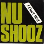 Nu Shooz – I Can't Wait 45lik Plak