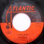 Nu Shooz – I Can't Wait 45lik Plak - Görsel 2
