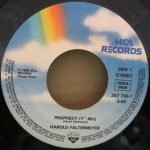 Harold Faltermeyer – Prophecy 45lik Plak - Görsel 2