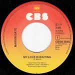Marvin Gaye – My Love Is Waiting 45lik Plak - Görsel 2