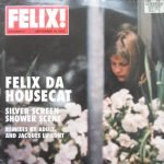Felix Da Housecat – Silver Screen Shower Scene 12" Maxi Single Plak (Electro)