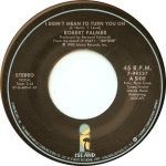 Robert Palmer – I Didn't Mean To Turn You On 45lik Plak - Görsel 2