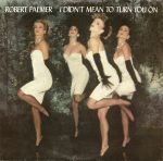 Robert Palmer – I Didn't Mean To Turn You On 45lik Plak