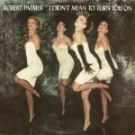 Robert Palmer – I Didn't Mean To Turn You On 45lik Plak