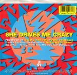Fine Young Cannibals – She Drives Me Crazy 45lik Plak - Görsel 2