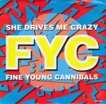 Fine Young Cannibals – She Drives Me Crazy 45lik Plak