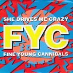 Fine Young Cannibals – She Drives Me Crazy 45lik Plak