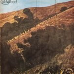 Cold Blood – Sisyphus LP Plak