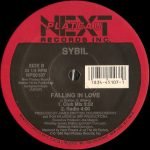 Sybil – Don't Make Me Over 12" Maxi Single Plak (Garage House) - Görsel 2