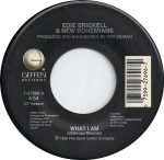 Edie Brickell & New Bohemians ‎– What I Am 45lik Plak - Görsel 2