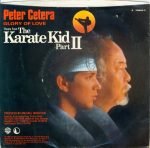 Peter Cetera – Glory Of Love (Theme From The Karate Kid Part II) 45lik Plak - Görsel 2