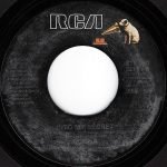 Alisha – Into My Secret 45lik Plak - Görsel 2