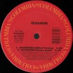 Eleanor – Adventure 12" Maxi Single Plak (Garage House) - Görsel 3